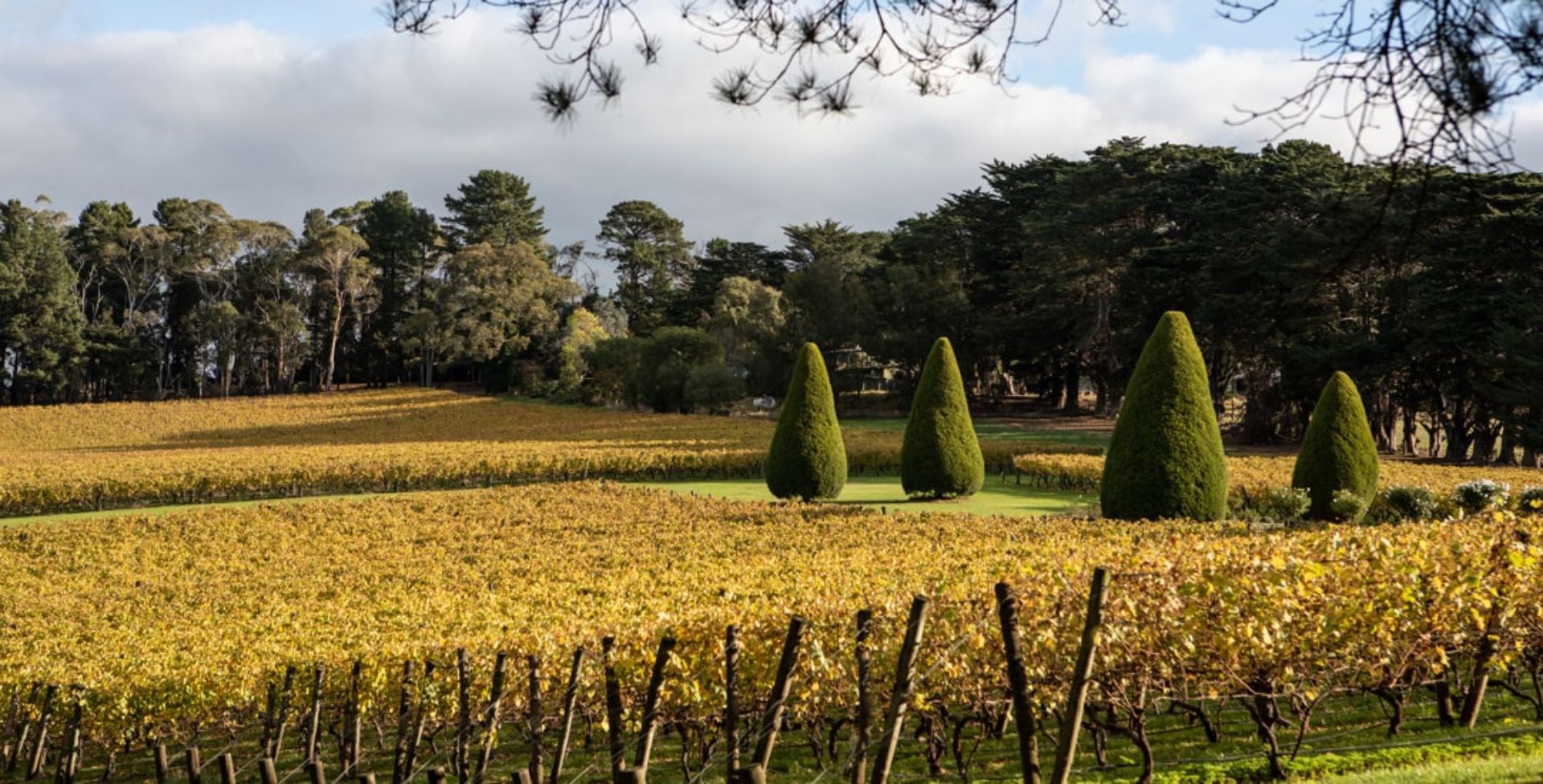 Mornington Peninsula